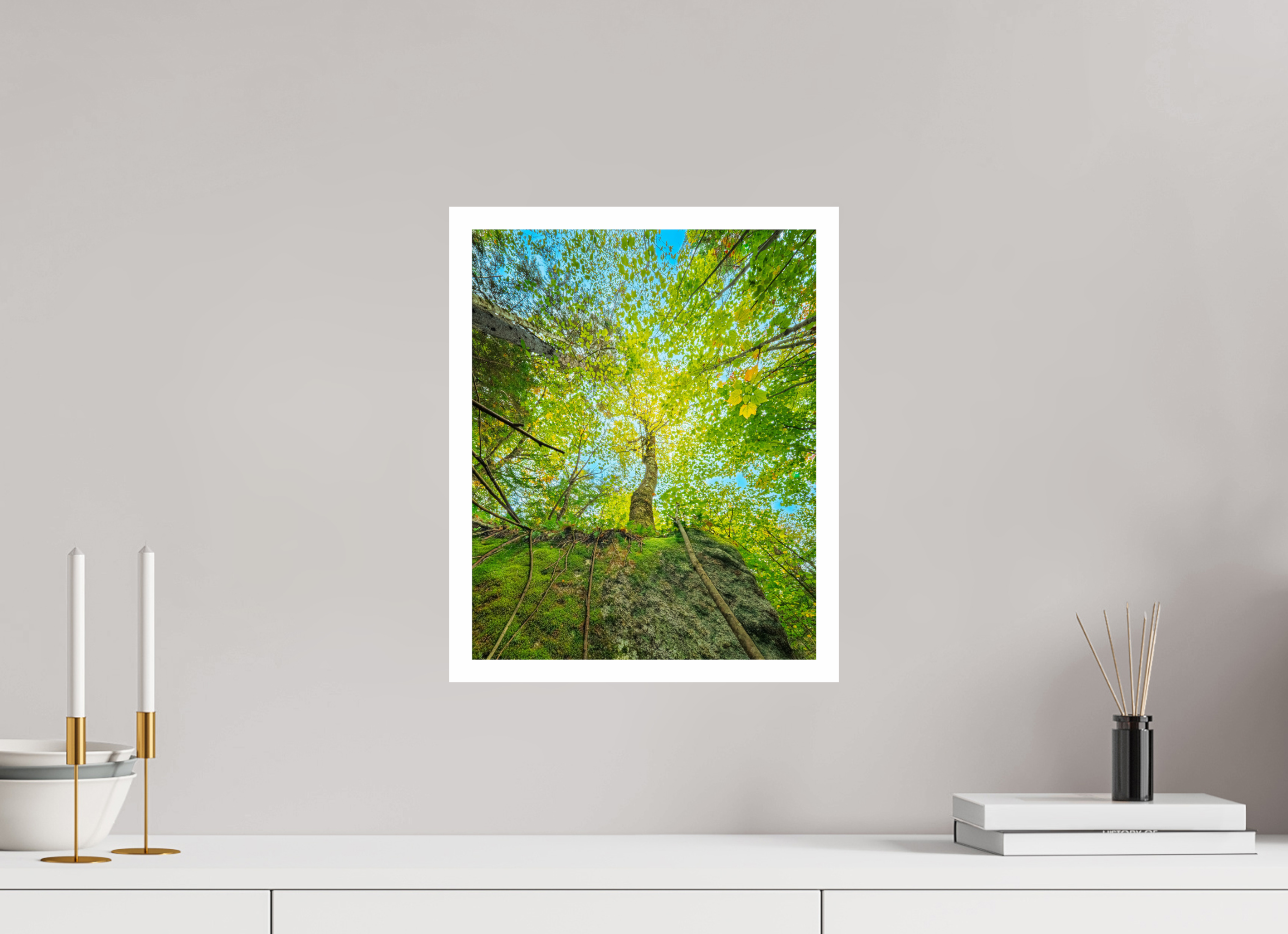 12 x 15″, HMPHOTRAGBARYTASUPERRES080BORDER Erratic Birch