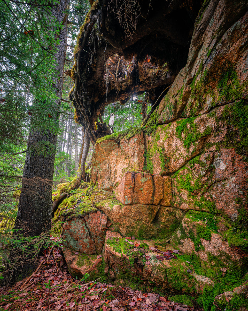Stonework of the Wild