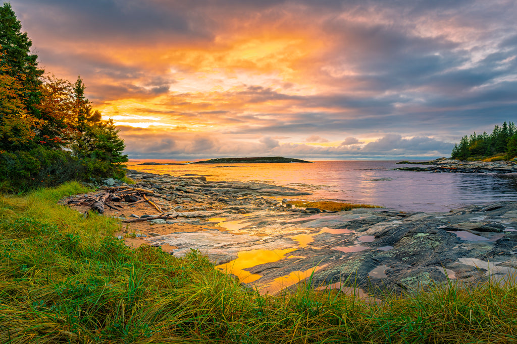 Where I Always Come Back