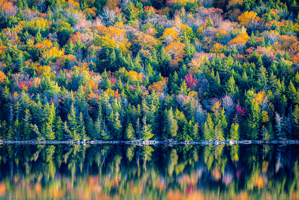 The Wild Light of October