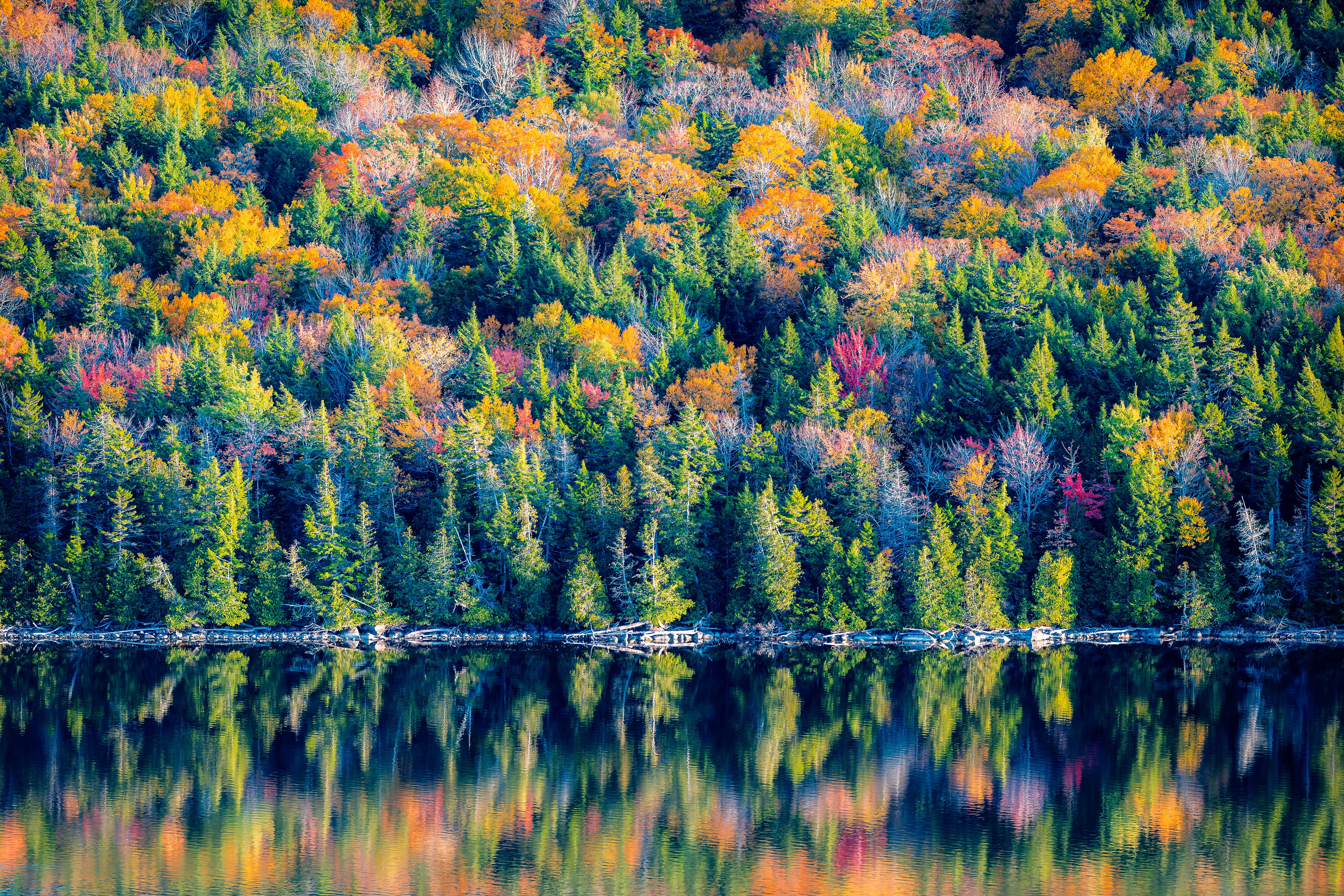 The Wild Light of October