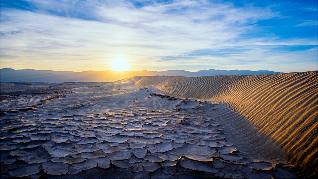 Where Resilience Meets the Sun