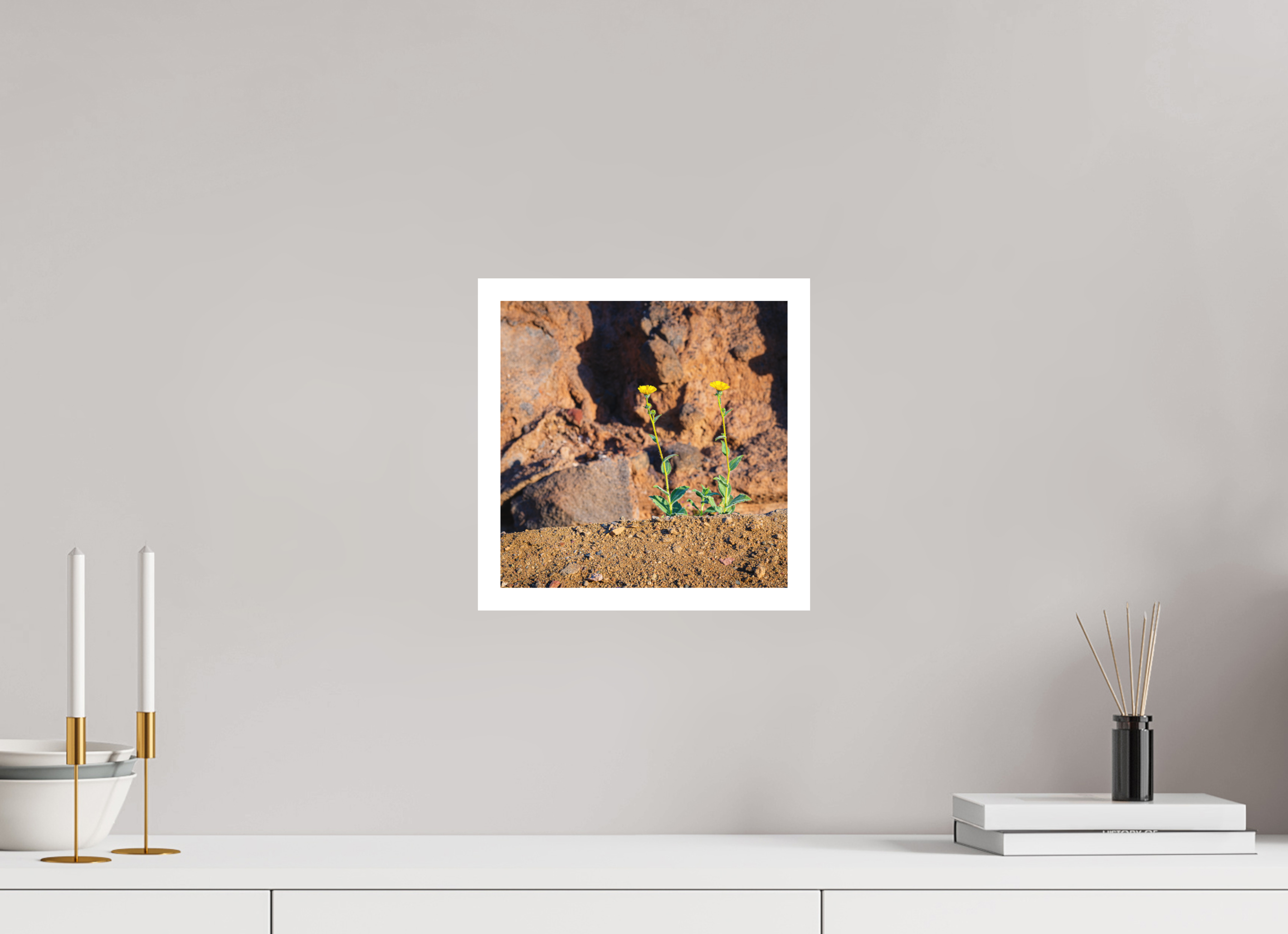 10 x 10″, germanetchsuperres The Tale of Two Flowers