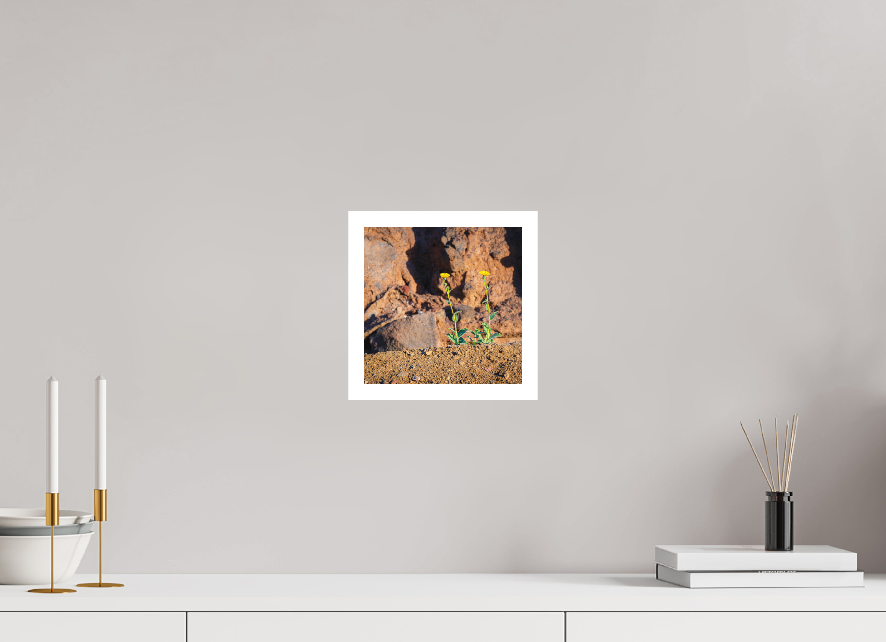 8 x 8″, germanetchsuperres The Tale of Two Flowers
