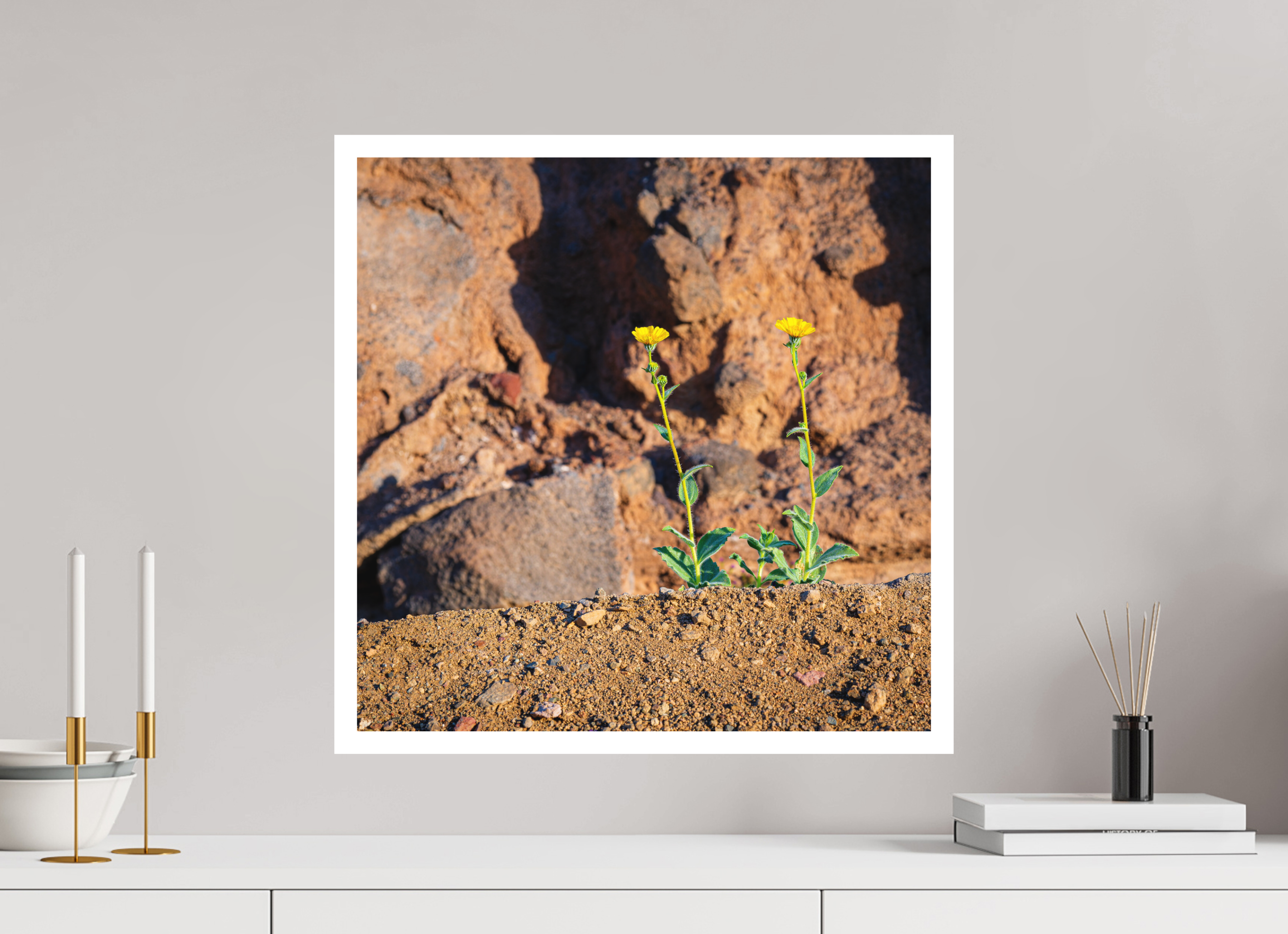 20 x 20″, germanetchsuperres The Tale of Two Flowers