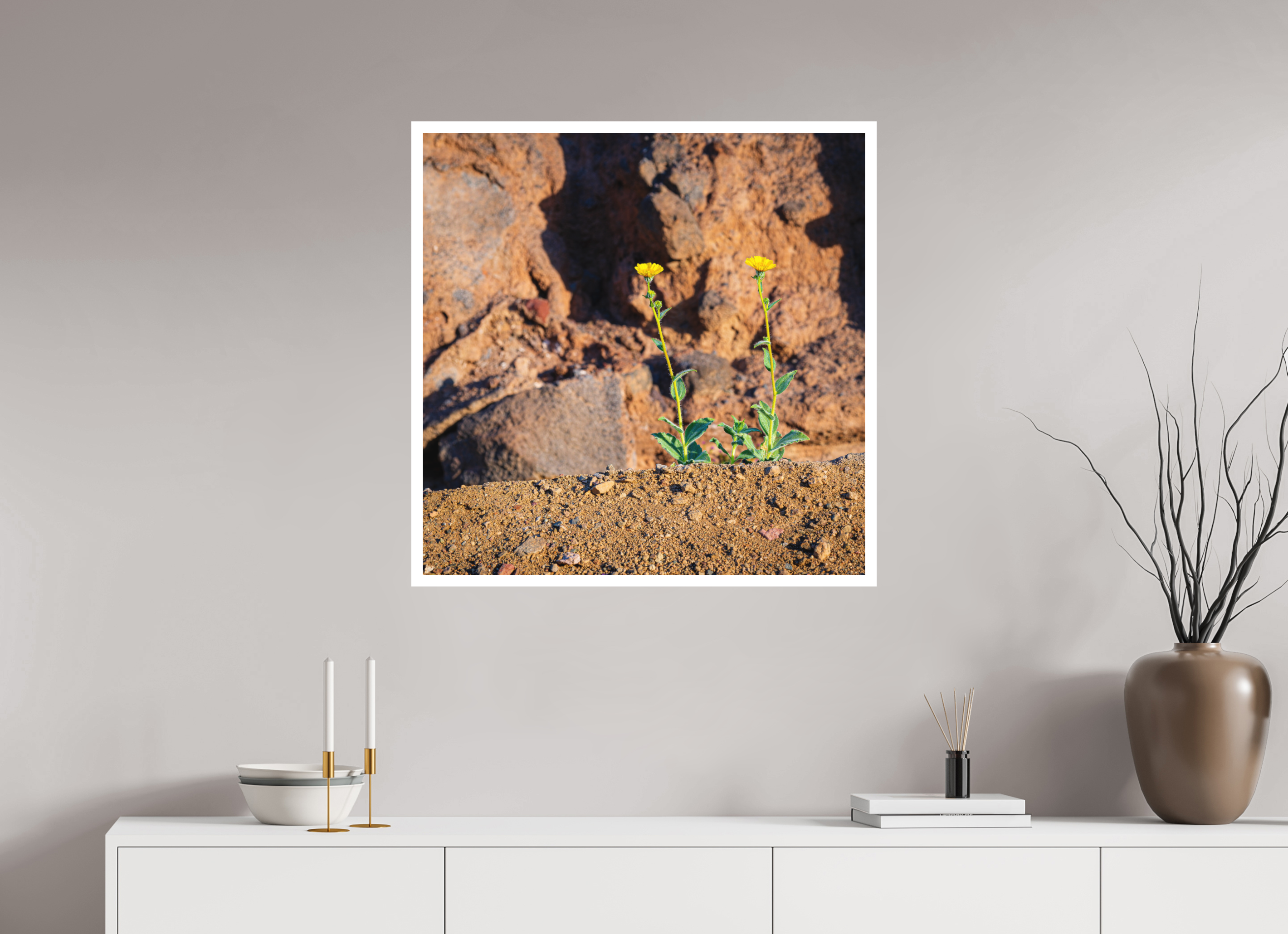 30 x 30″, germanetchsuperres The Tale of Two Flowers