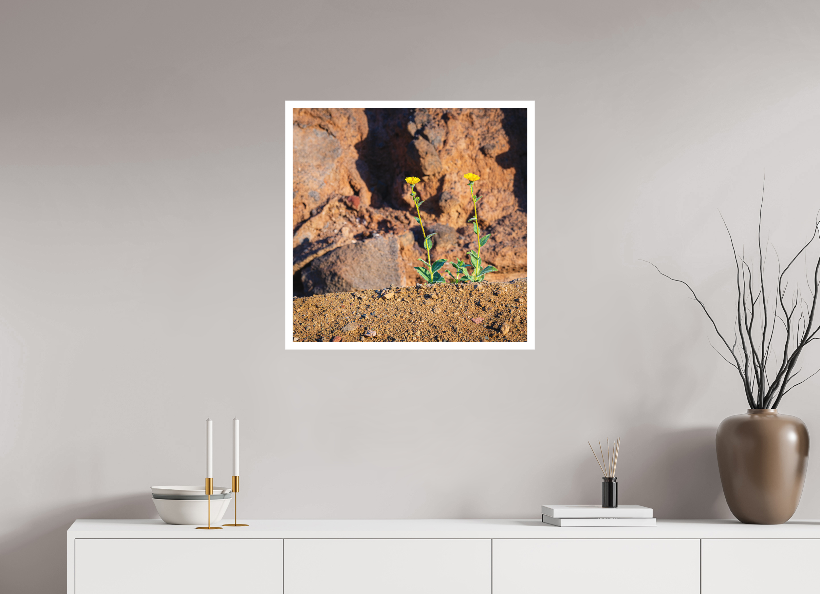 25 x 25″, germanetchsuperres The Tale of Two Flowers
