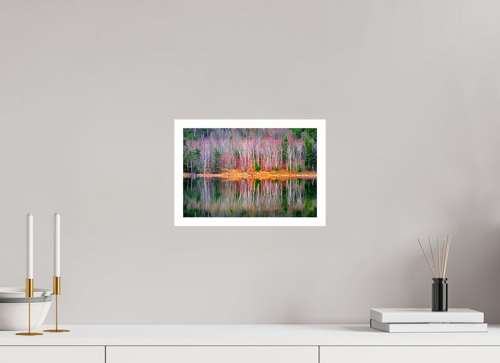 12 x 8″, HMPHOTRAGBARYTASUPERRES080BORDER blooming birches