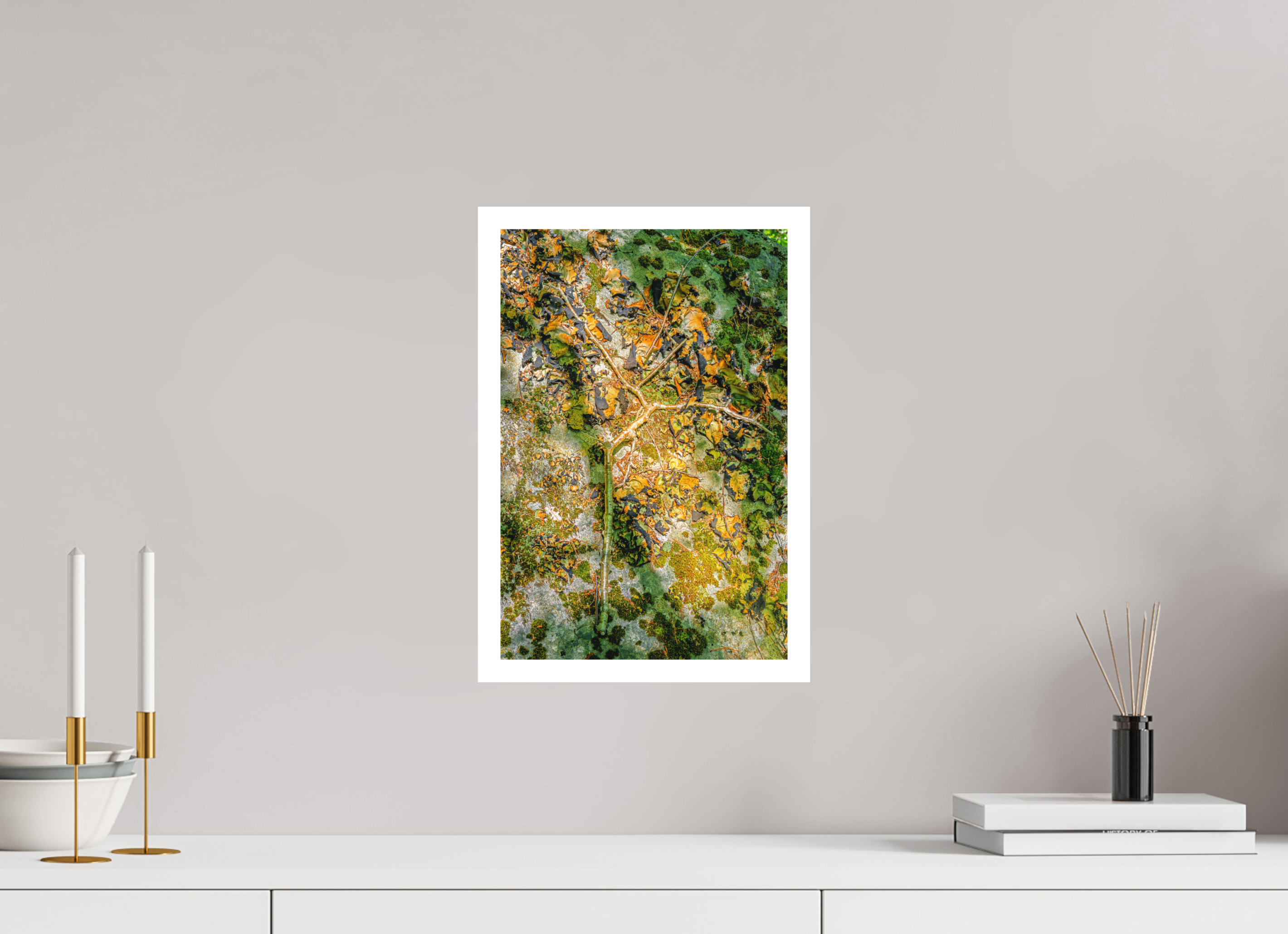 10 x 15″, germanetchsuperres branching out